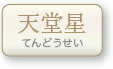 天堂星